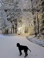 Run Free